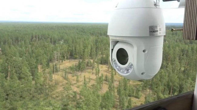 За пожарами в Бузулукском бору теперь следит искусственный интеллект