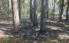 «Умные» камеры помогли обнаружить два пожара в Бузулукском бору