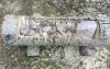 В Бузулукском бору накрывают стол для лесных обитателей 