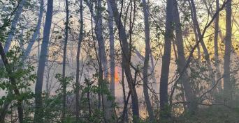 В Бузулуке 18 октября произошли два пожара с пострадавшими.