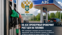 АЗС Оренбуржья проверят из-за роста цен