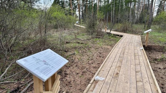 В Дендросаду продолжают обустраивать новую экотропу 