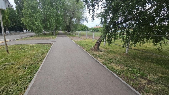 После обращения жителей на улице Галактионова в Бузулуке скосили траву