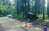 Двое погибли возле турбазы «Дубрава»