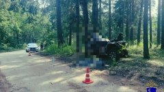 Двое погибли возле турбазы «Дубрава»