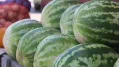 В Бузулуке назвали официальные точки продажи арбузов и дынь