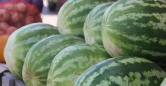 В Бузулуке назвали официальные точки продажи арбузов и дынь