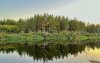 Бузулукский бор пережил сухой июль