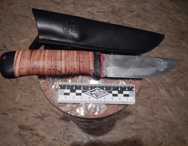 photo5264839262002591231