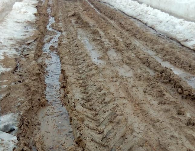 WhatsApp Image 2022-04-04 at 13.19.33