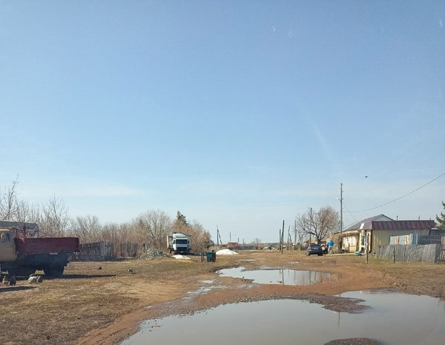ужи