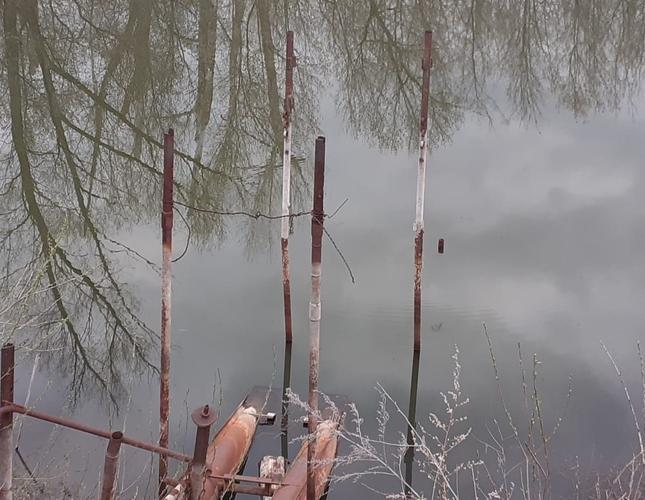 WhatsApp Image 2022-04-27 at 10.44.01 (1)