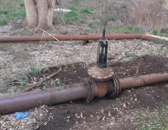 WhatsApp Image 2022-04-27 at 10.44.02 (1)