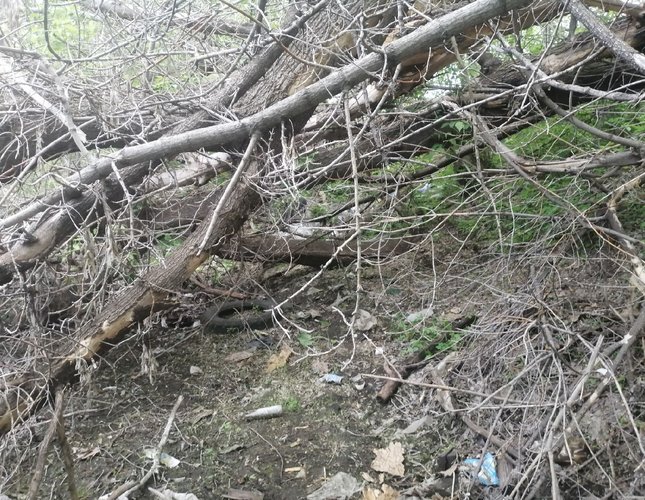 _ODSqLuEFg2UhFNmtNI9PpidXbbQh_59N8qPpZKN9wKZUTTKpVjVJ4TndJG1uOmSfRpBEe50YkZhkXekhgbTrTGo