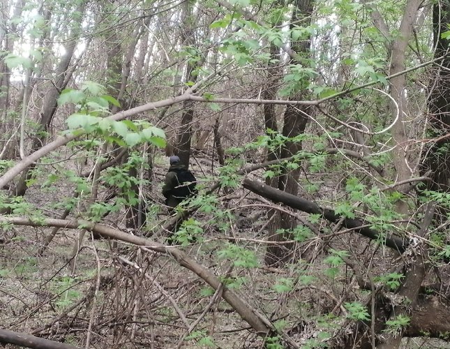 Dy-M28PNvCijUABdrOPZQz_tsv-NydskChPrHszjjhQLU9zsZc7PPOCelW3YDZRXxsnAIDg6-GHN0Qzc3hrXpH2e