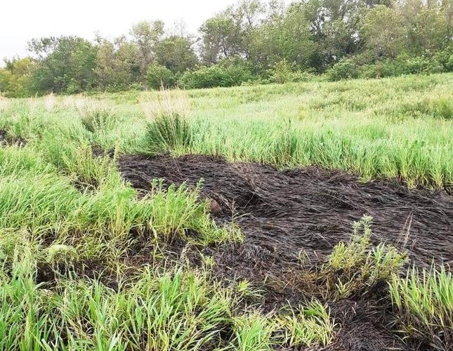 whatsapp-image-2022-06-09-at-10.13.23