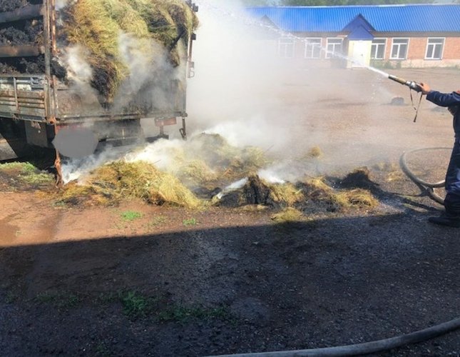 IMG_20220708_143316_355