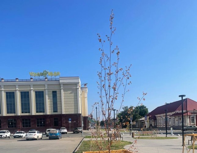 80a1e3f2-61d4-4233-aaf0-3e08a4e5ed30