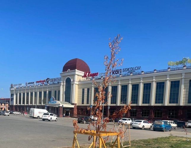 c652e9a2-a748-48b2-9f23-3209b6bb3c22