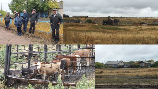 Кому на оренбургском селе жить хорошо