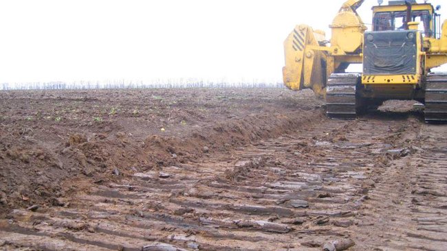 Бузулукский суд оштрафовал нефтяников за уничтожение 3 гектар плодородного слоя почвы