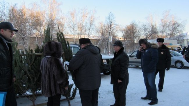 В Бузулуке проверили елочные базары