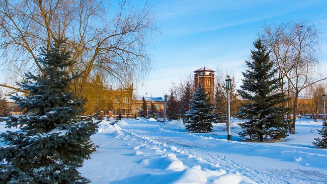 Какие новогодние мероприятия пройдут в Бузулуке 6 января