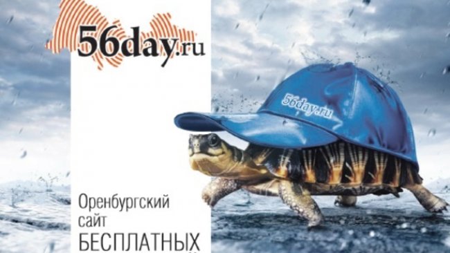 Для оренбуржцев открылся сайт бесплатных объявлений 56 day.ru