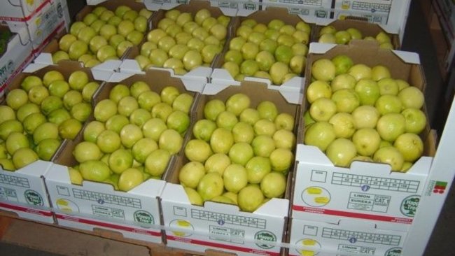 В Первомайском районе задержали 14 тонн томатов и лимонов