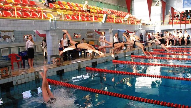 Бузулукские пловцы завоевали 20 медалей областного чемпионата