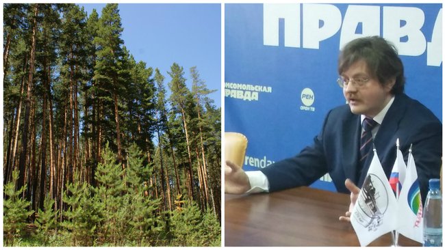 Бузулукский бор необходимо поставить на кадастровый учет