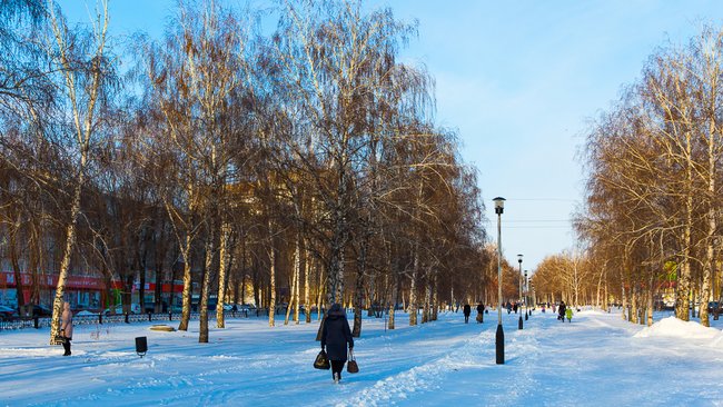 Среди жителей Бузулука проведут социологический опрос