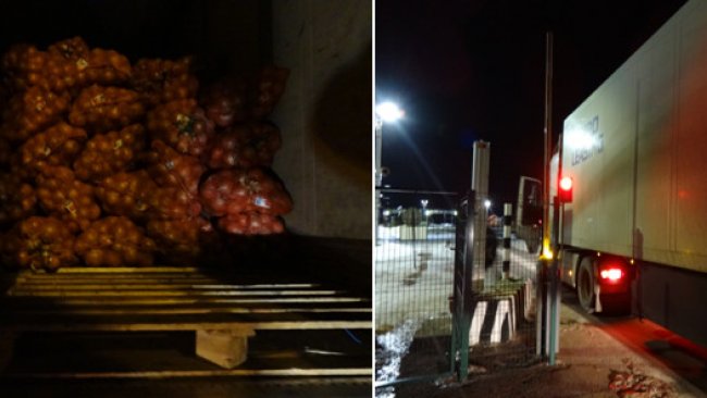 В Первомайском районе задержали 10 тонн репчатого лука