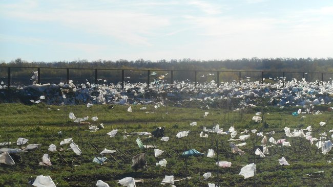Поля вблизи Бузулукской городской свалки усыпаны целлофановыми пакетами