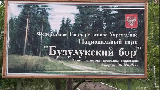 Причиной пожара в Бузулукском бору стал разведенный костер