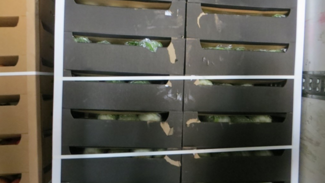 В Бузулуке уничтожено около двадцати килограмм яблок и капусты