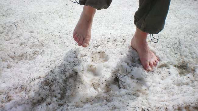 Бузулучанка ответит за издевательство над десятилетней дочерью