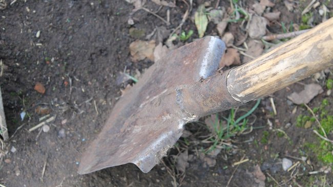 В Бузулукском районе мужчина ударил лопатой своего соседа