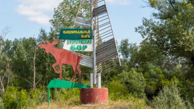 В Бузулукском бору преступили к ремонту аварийных  скважин