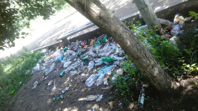 В Бузулуке забросили сквер имени Л.Н.Толстого 