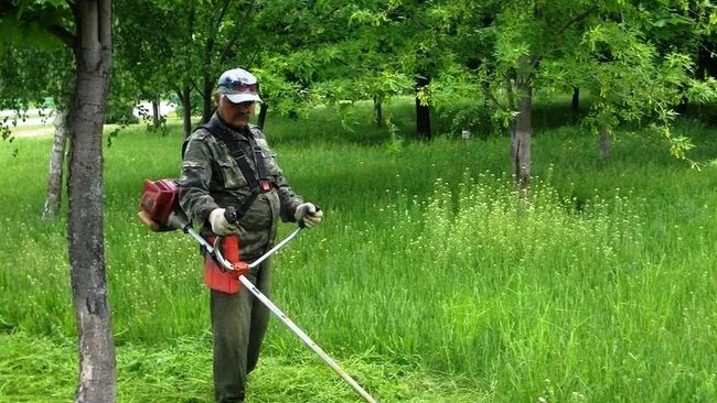 В Бузулуке продолжается борьба с сорной травой