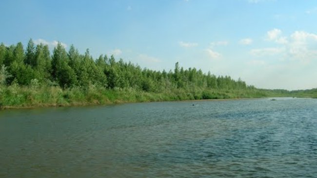 В Бузулуке отдых на природе закончился трагедией 