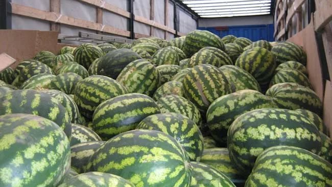 Под Бузулуком задержали более двадцати тонн арбузов 