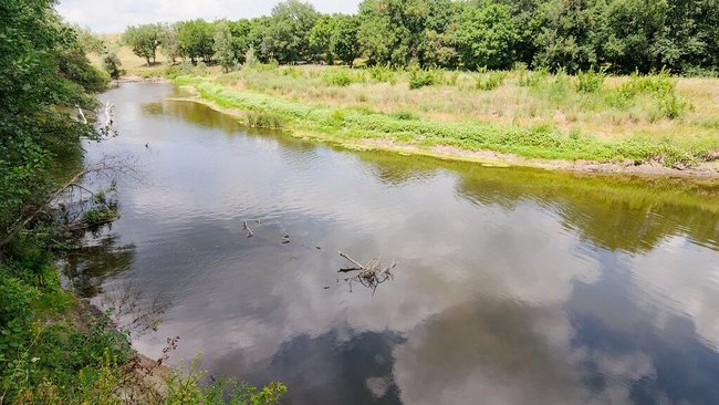 В Бузулуке рыбак обнаружил страшную находку