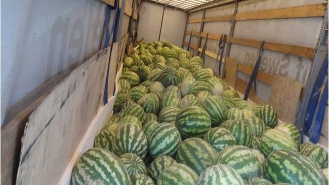 В Первомайском районе задержали 20 тонн арбузов 