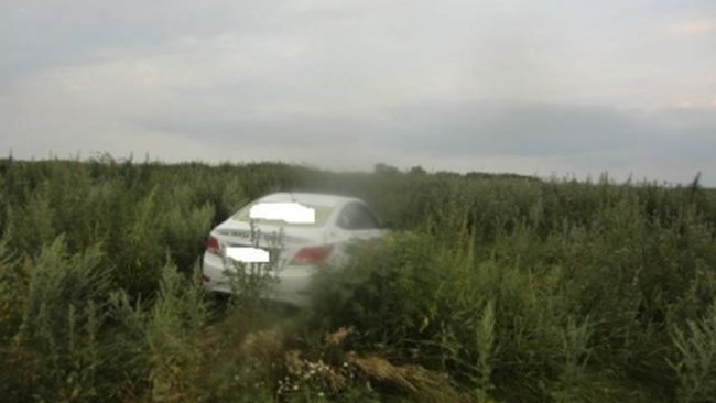 Жители Тольятти едва не убили таксиста, за то что он отказался вести их в Бузулук