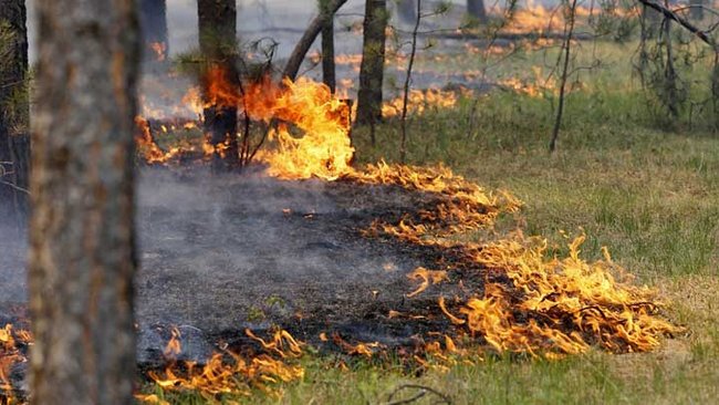 В Бузулуке продолжает сохранятся высокий класс пожарной опасности