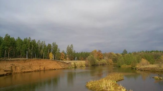 На городском пляже Бузулука было спасено два ребенка