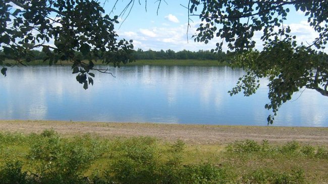 В Первомайском районе утонул ребенок