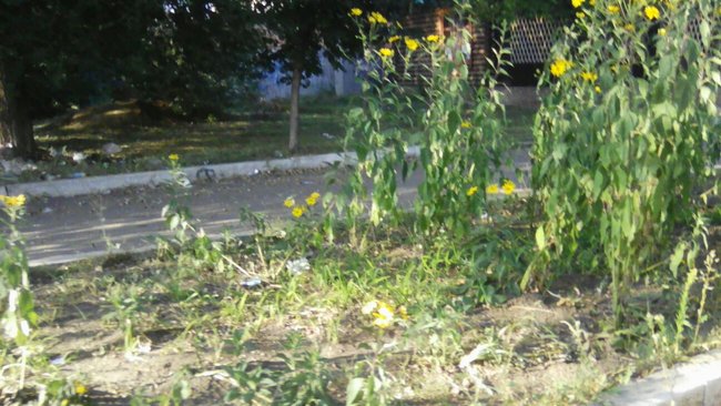 В Бузулуке скверы продолжают утопать в мусоре